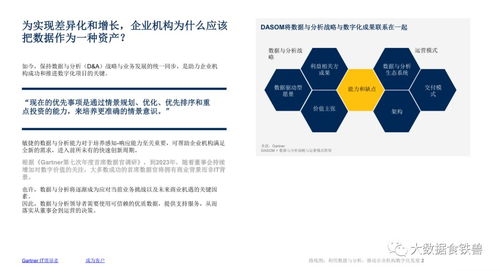 數據驅動未來 杭州軟件開發企業數字化發展路線圖
